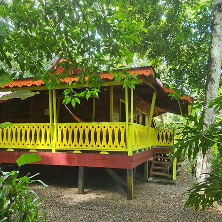 Puerto Viejo de Talamanca El Jardin De Playa Negraヴィラ エクステリア 写真