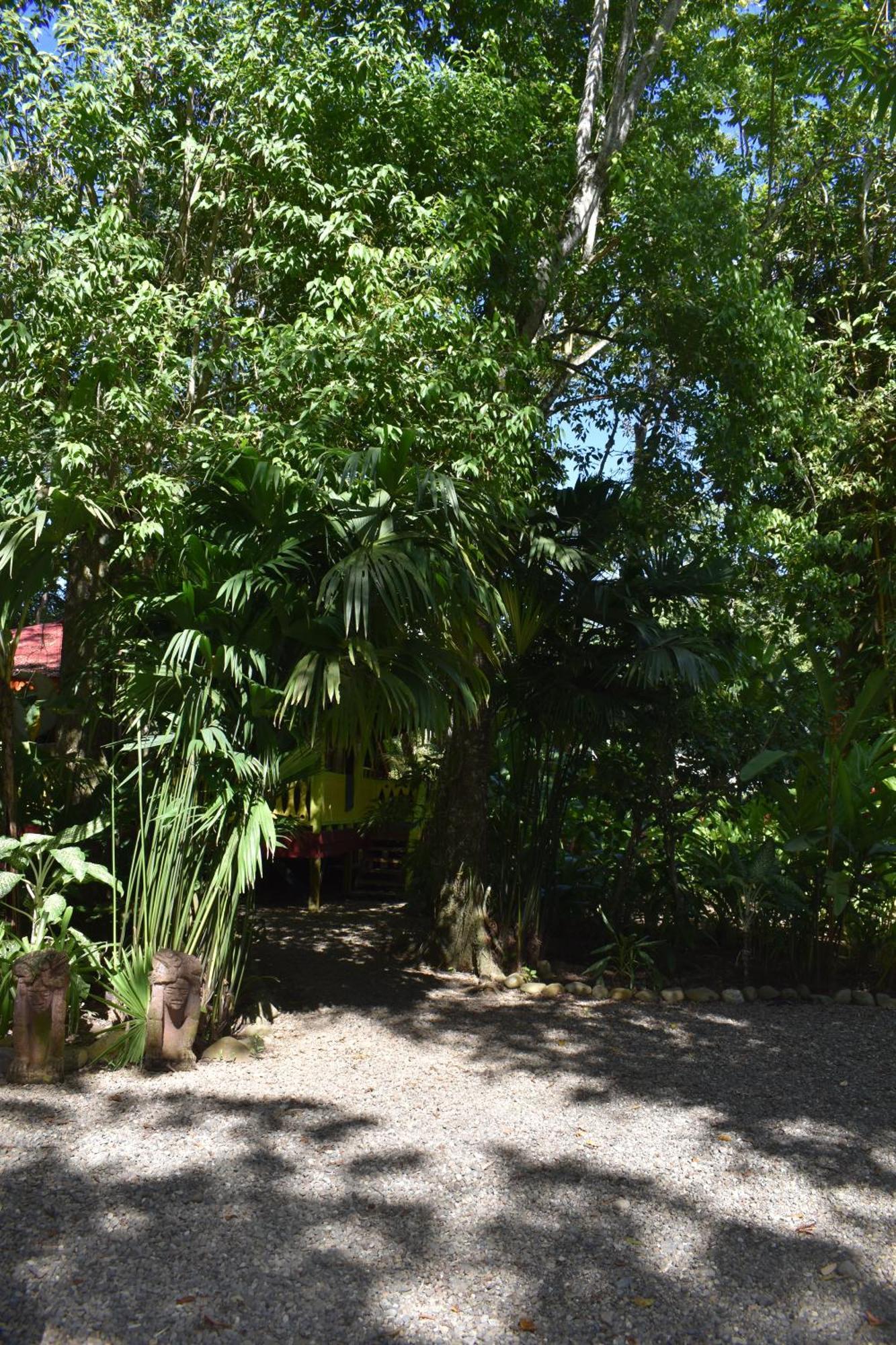 Puerto Viejo de Talamanca El Jardin De Playa Negraヴィラ エクステリア 写真