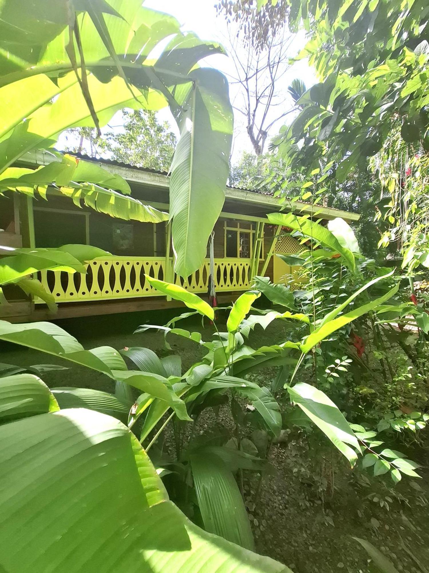 Puerto Viejo de Talamanca El Jardin De Playa Negraヴィラ エクステリア 写真