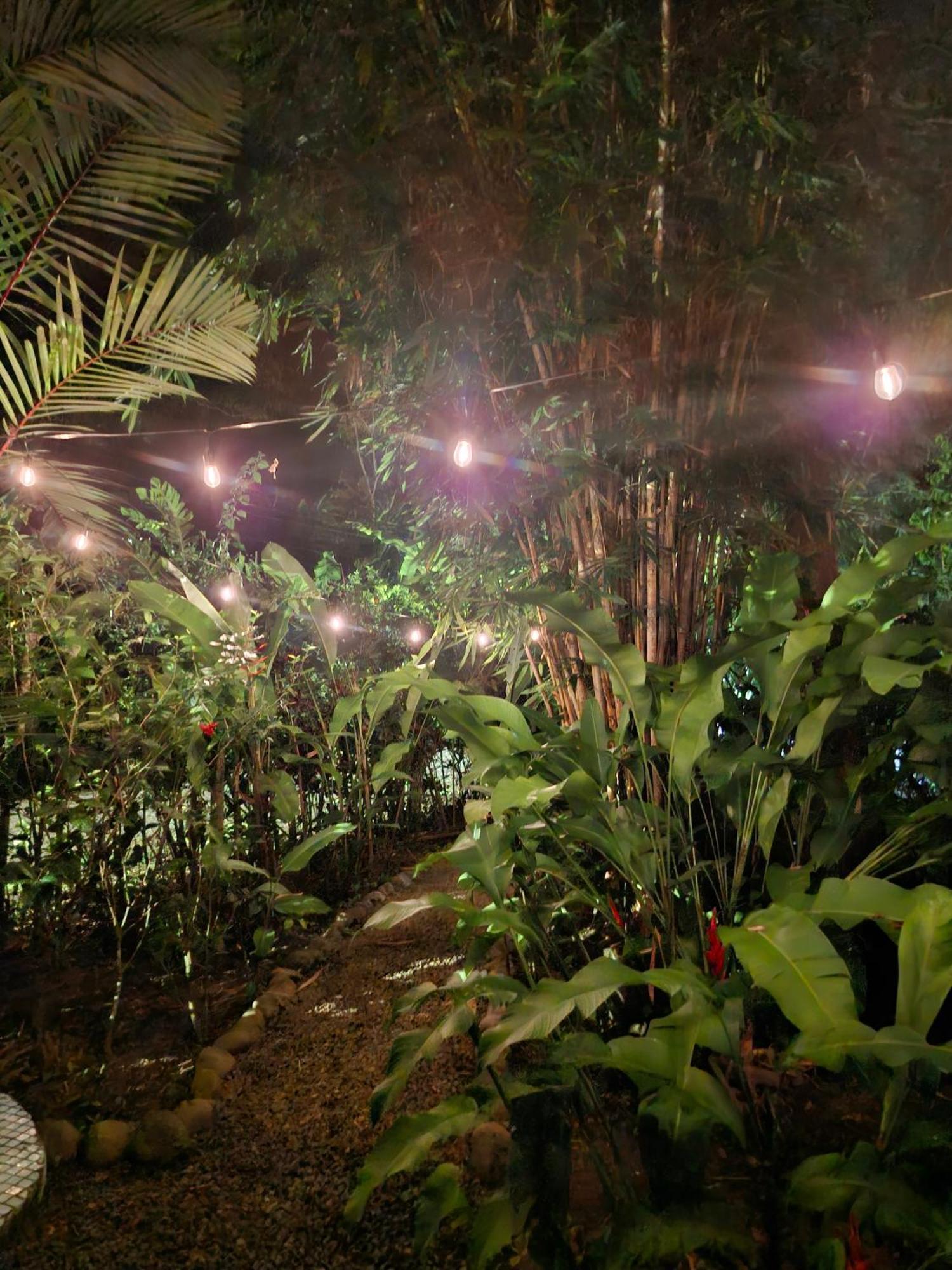 Puerto Viejo de Talamanca El Jardin De Playa Negraヴィラ エクステリア 写真