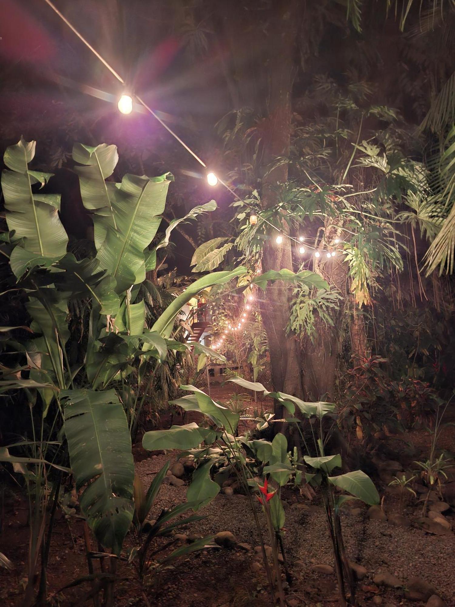 Puerto Viejo de Talamanca El Jardin De Playa Negraヴィラ エクステリア 写真