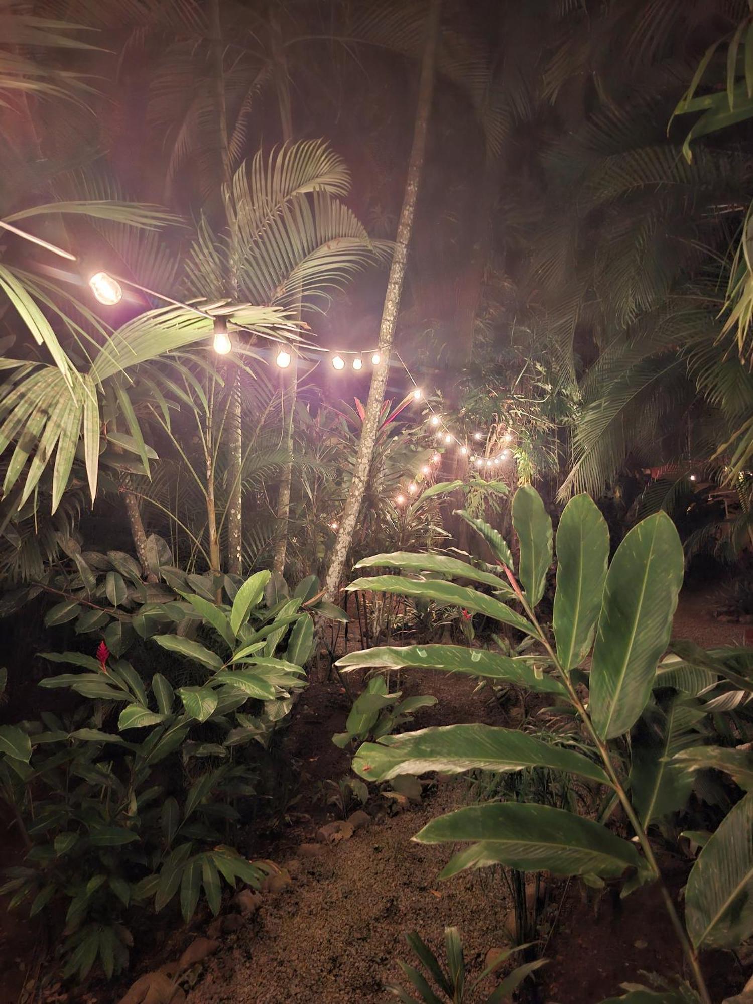 Puerto Viejo de Talamanca El Jardin De Playa Negraヴィラ エクステリア 写真