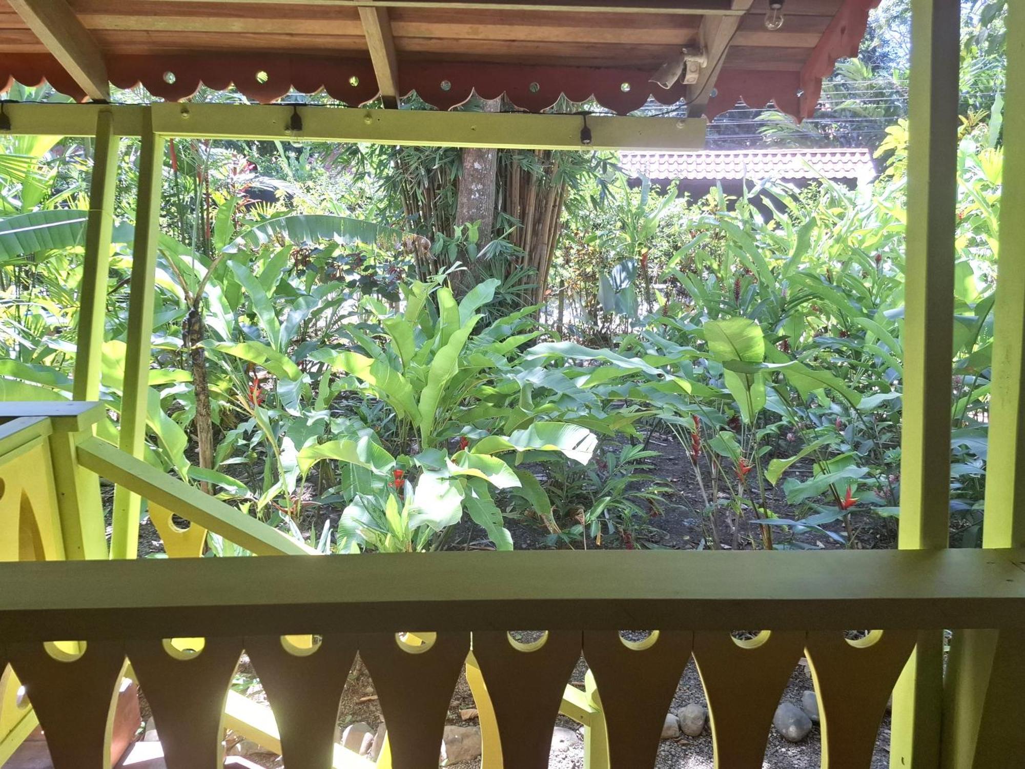 Puerto Viejo de Talamanca El Jardin De Playa Negraヴィラ エクステリア 写真
