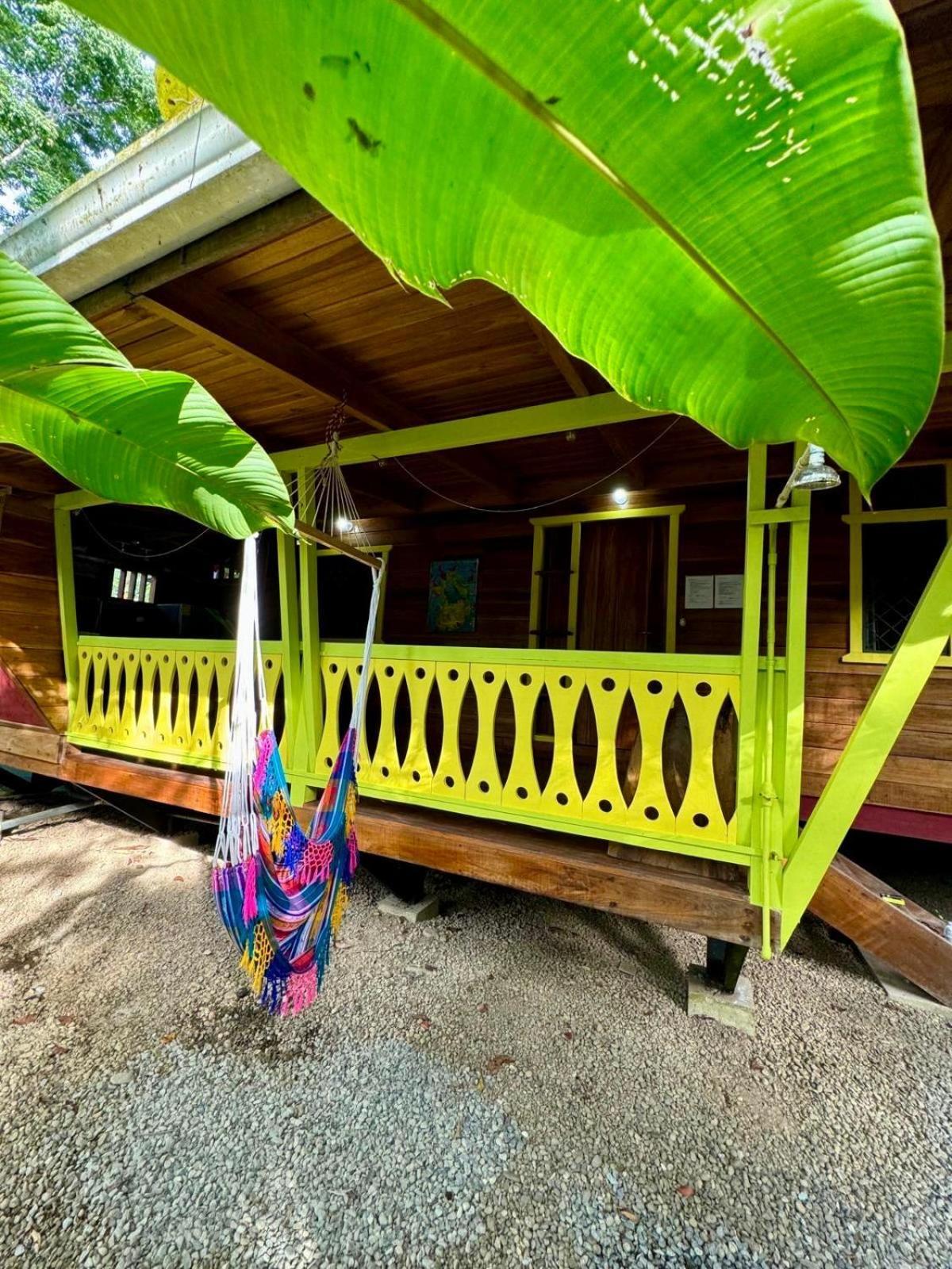 Puerto Viejo de Talamanca El Jardin De Playa Negraヴィラ エクステリア 写真