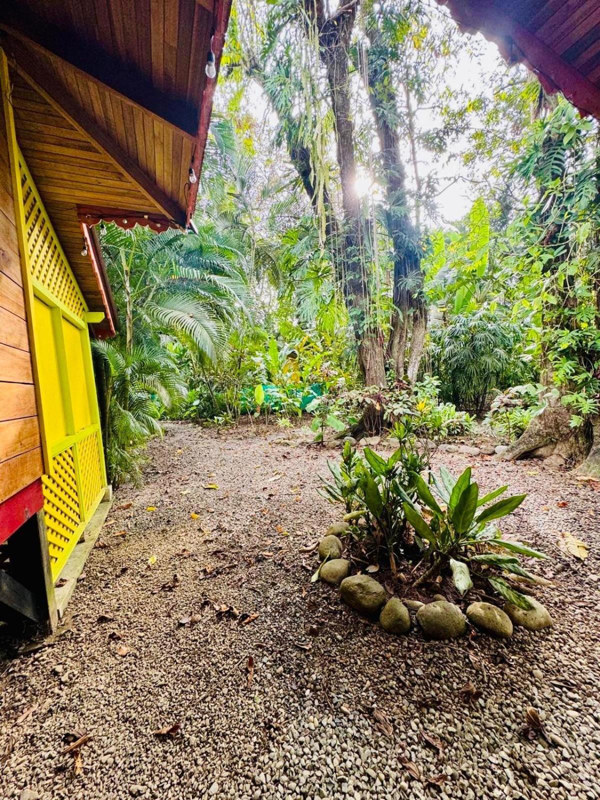 Puerto Viejo de Talamanca El Jardin De Playa Negraヴィラ エクステリア 写真